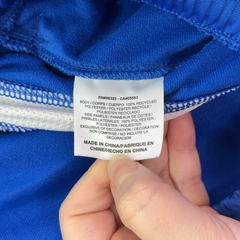 Vintage Jordan Track Pants Mens XXL Royal Blue White Stripe Active Lounge Y2K